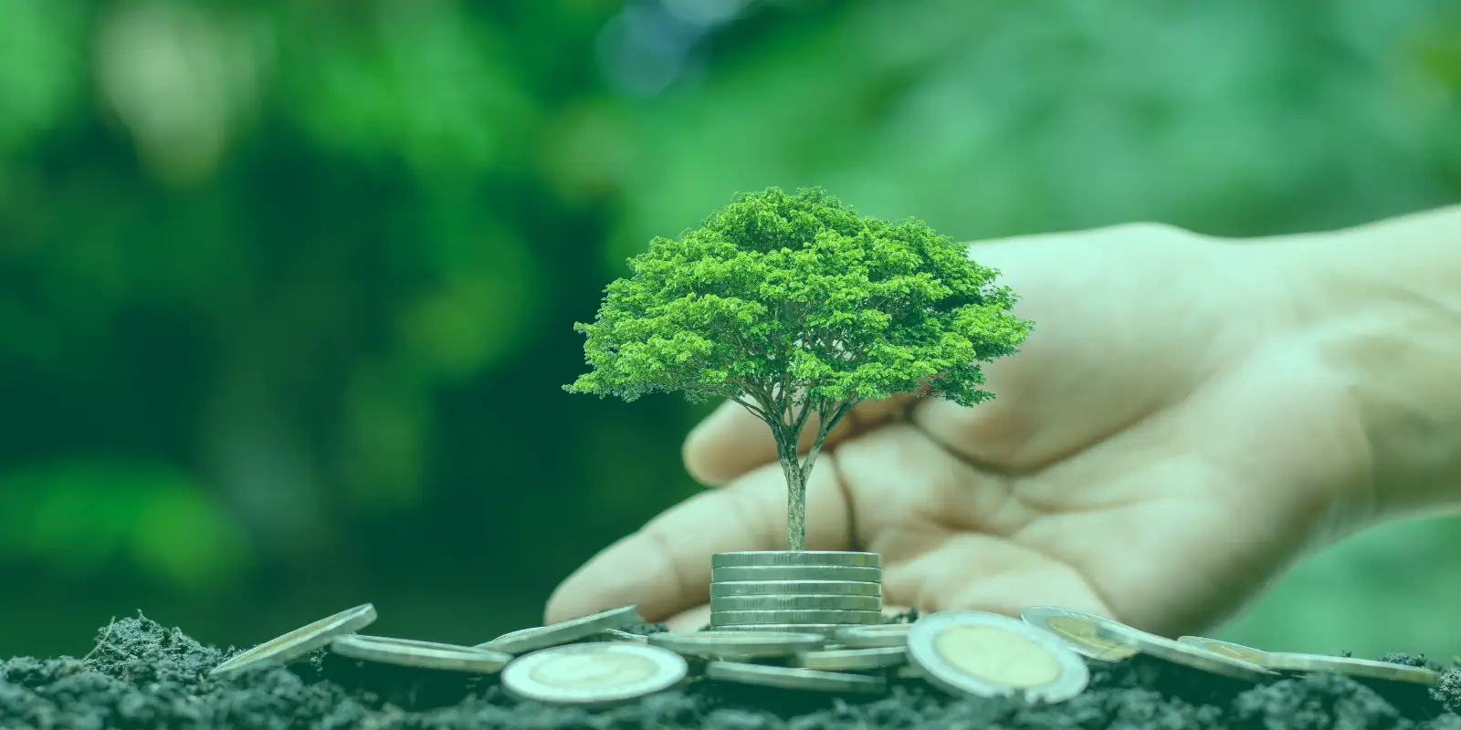 Financement Particulier